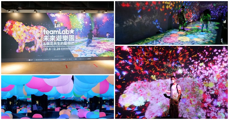 teamLab未來遊樂園來台灣了 拍攝攻略～一起來台北科教館跟光影玩遊戲