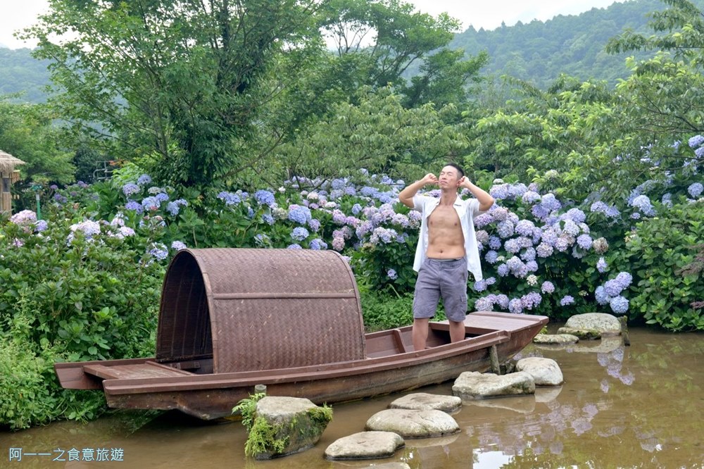 竹子湖花與樹繡球花園.陽明山繡球花推薦.