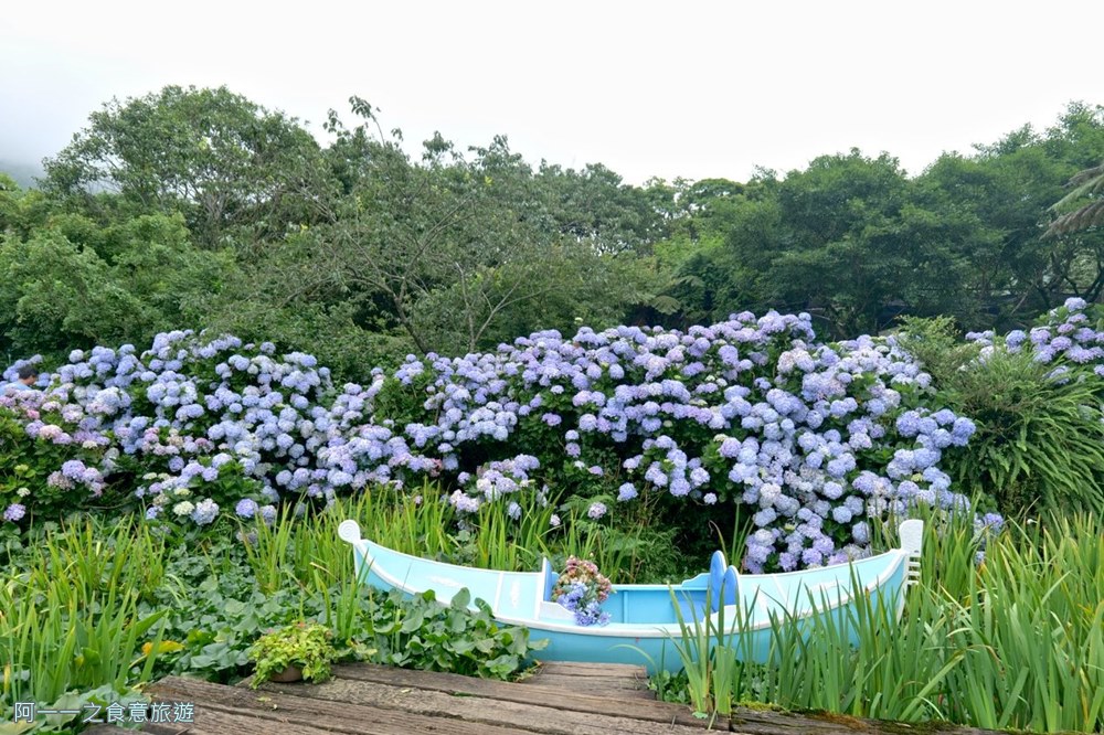 竹子湖花與樹繡球花園