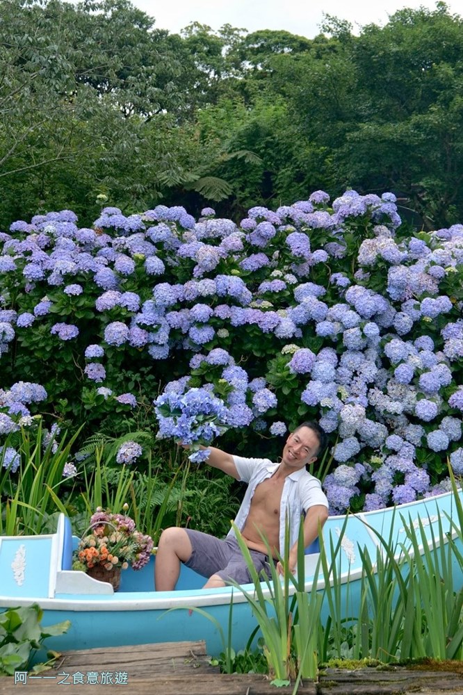 竹子湖花與樹繡球花園