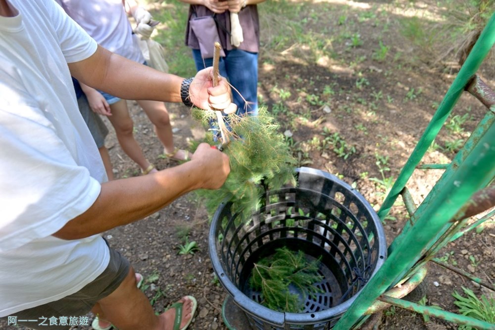 奧麗雅安莊園.茶樹精油體驗