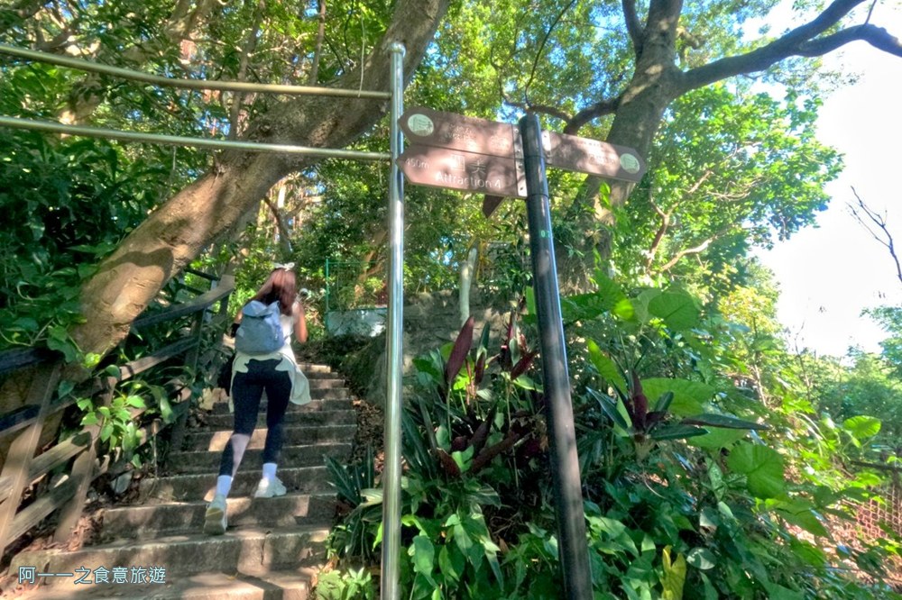 劍潭山親山步道.森林方舟.北眼平台.微風平台.台北步道推薦