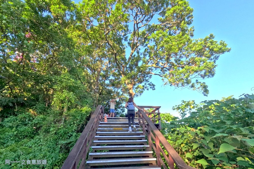 劍潭山親山步道.森林方舟.台北步道推薦