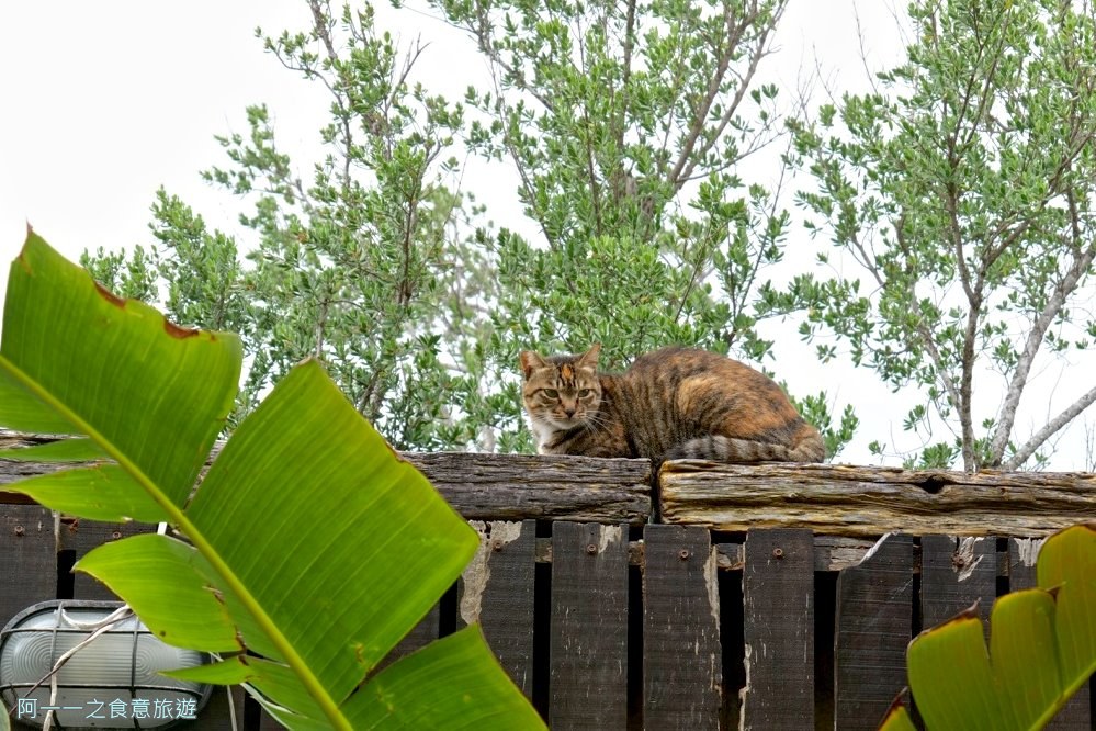 沛朵廚坊.墾丁龍磐草原美食.義大利麵.秘境