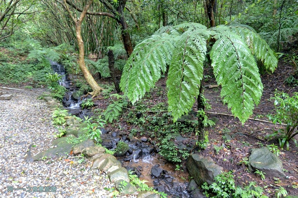 陽明溫泉渡假村.菁山遊憩區