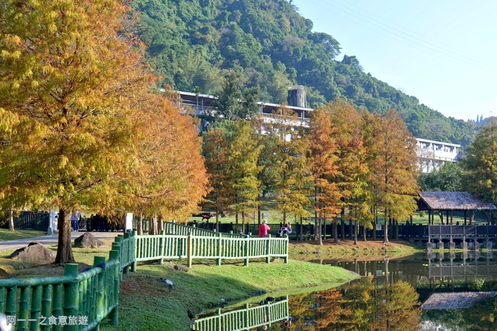 原住民文化主題公園.台北士林落羽松秘境.免費景點