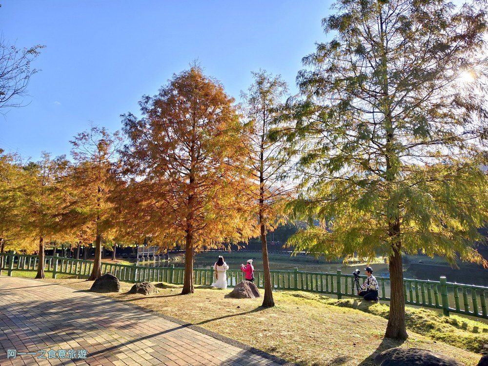 原住民文化主題公園.台北士林落羽松秘境.免費景點