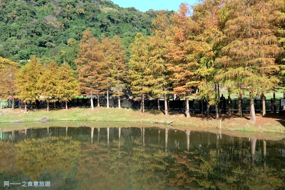 原住民文化主題公園.台北士林落羽松秘境.免費景點