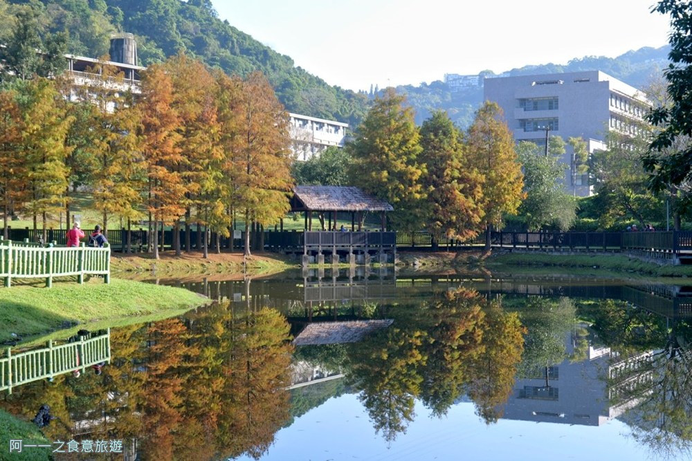 原住民文化主題公園.台北士林落羽松秘境.免費景點