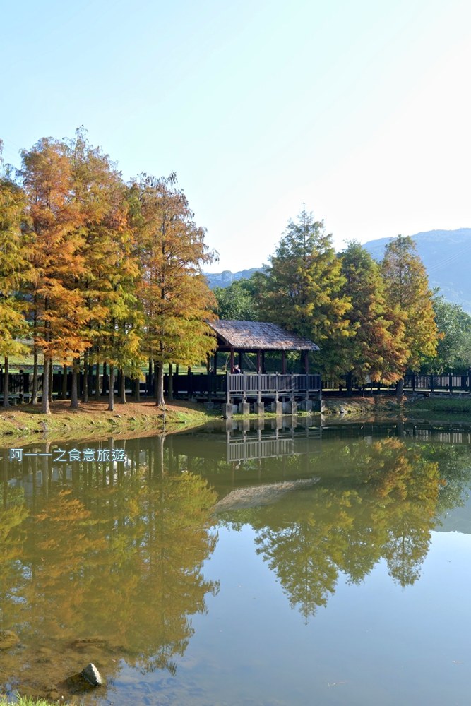 原住民文化主題公園.台北士林落羽松秘境.免費景點