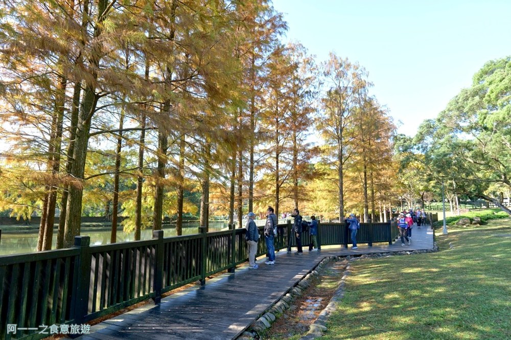 原住民文化主題公園.台北士林落羽松秘境.免費景點