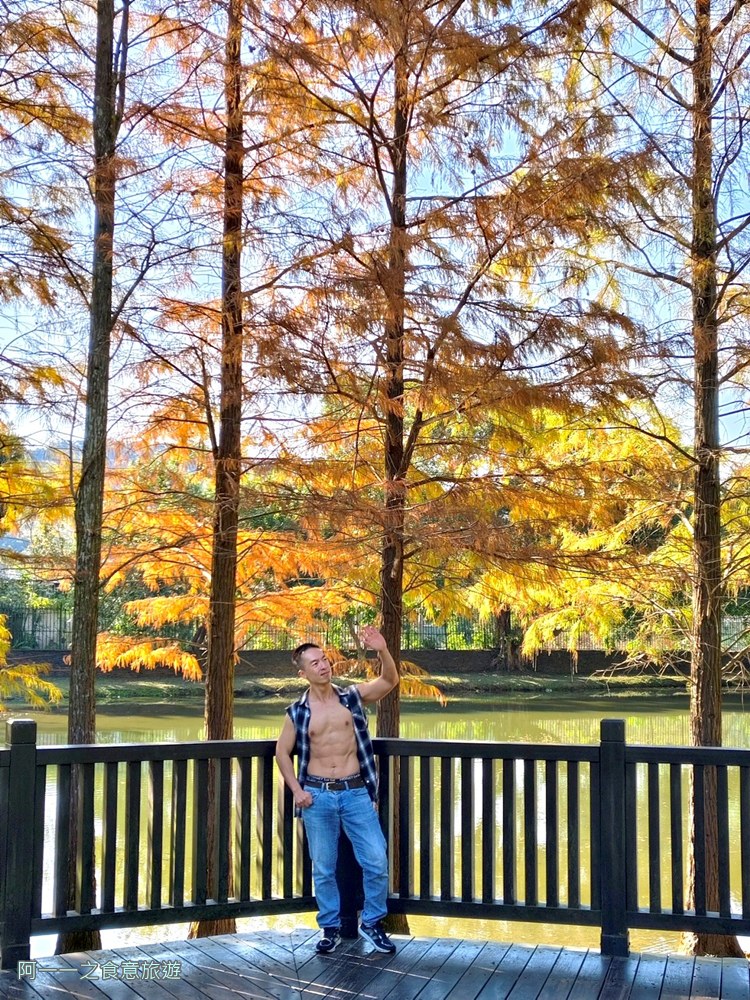 原住民文化主題公園.台北士林落羽松秘境.免費景點