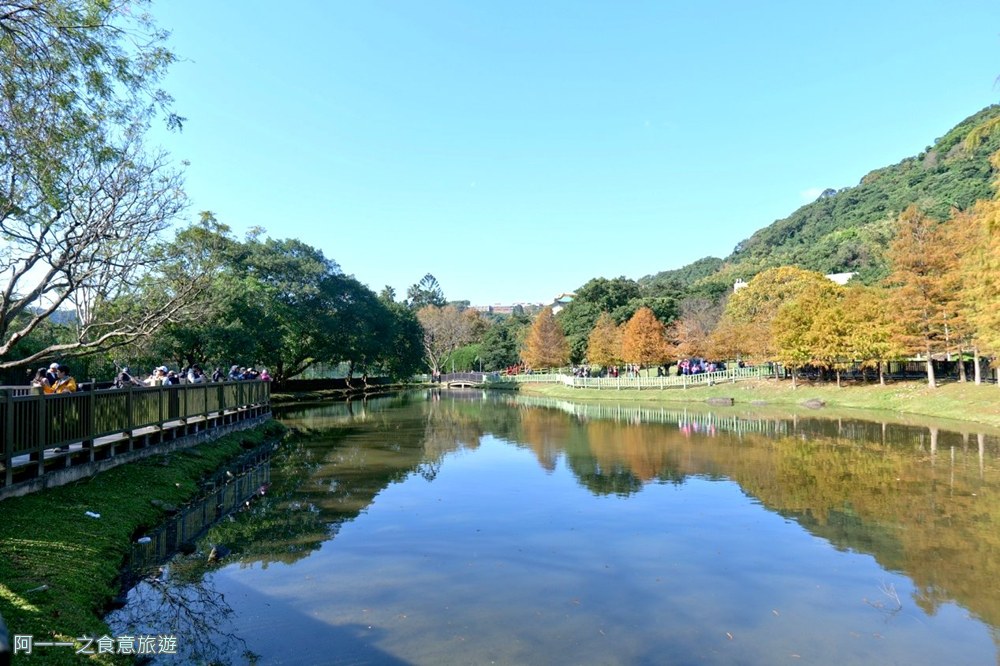 原住民文化主題公園.台北士林落羽松秘境.免費景點