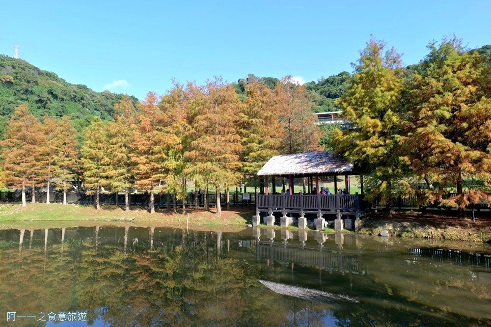 原住民文化主題公園.台北士林落羽松秘境.免費景點