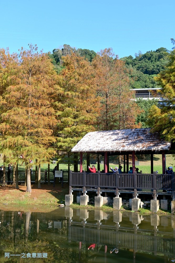原住民文化主題公園.台北士林落羽松秘境.免費景點