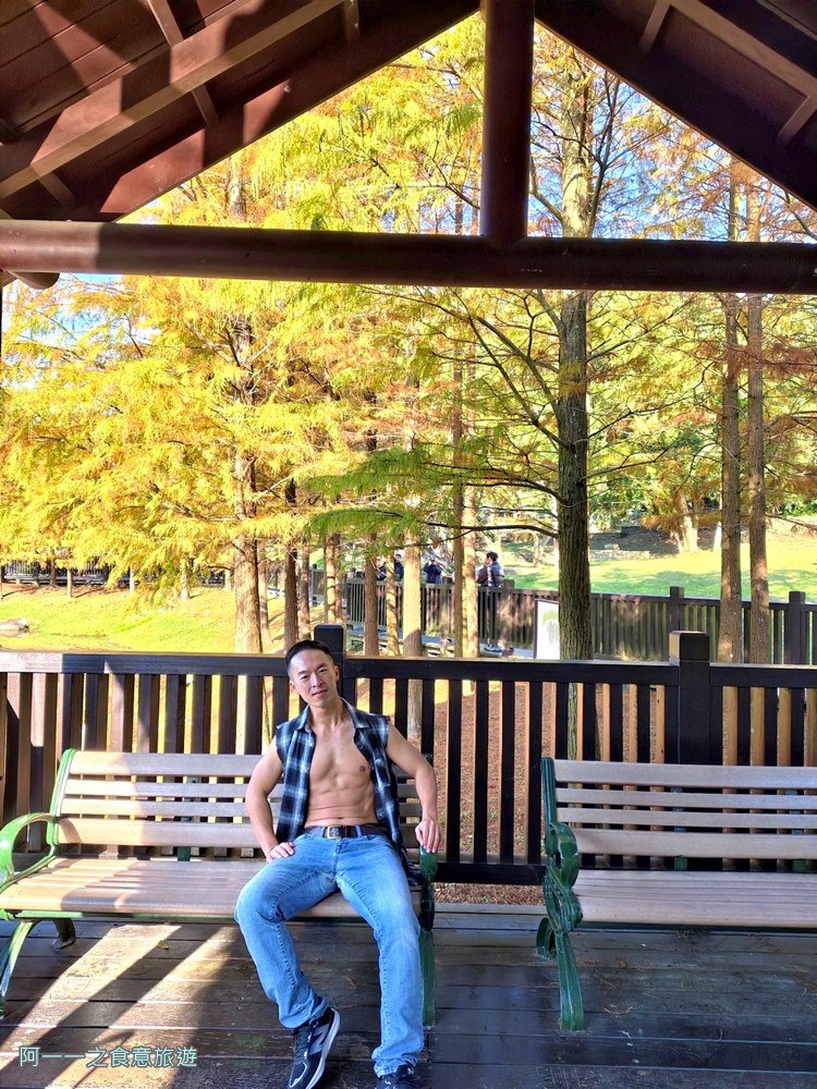 原住民文化主題公園.台北士林落羽松秘境.免費景點