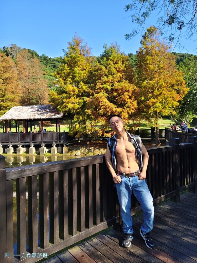 原住民文化主題公園.台北士林落羽松秘境.免費景點