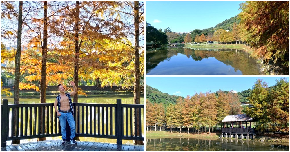 原住民文化主題公園.台北士林落羽松秘境.免費景點