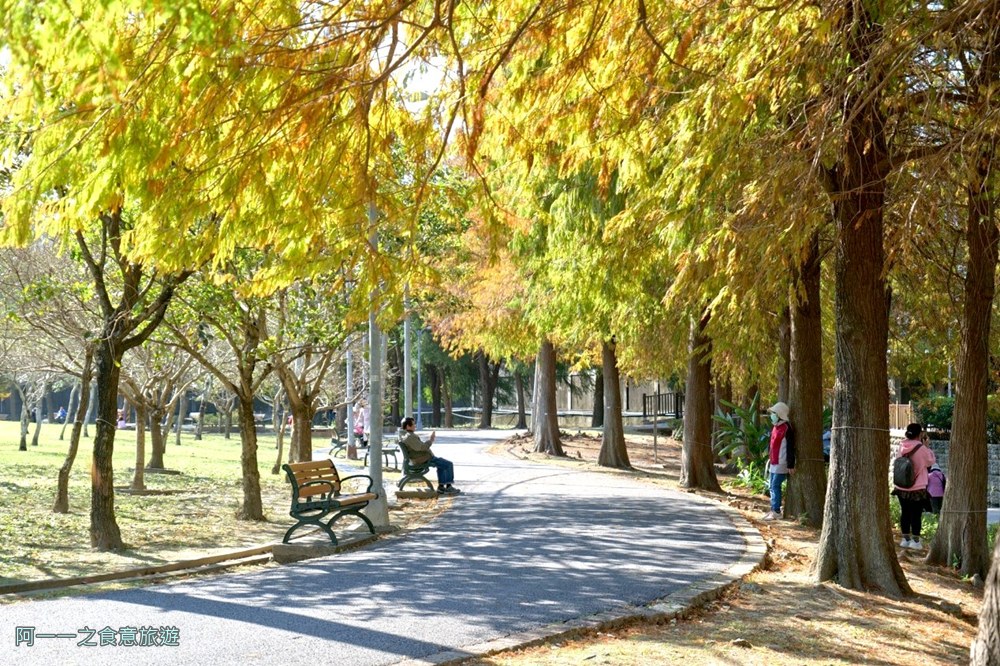 士林官邸落羽松.台北免門票景點