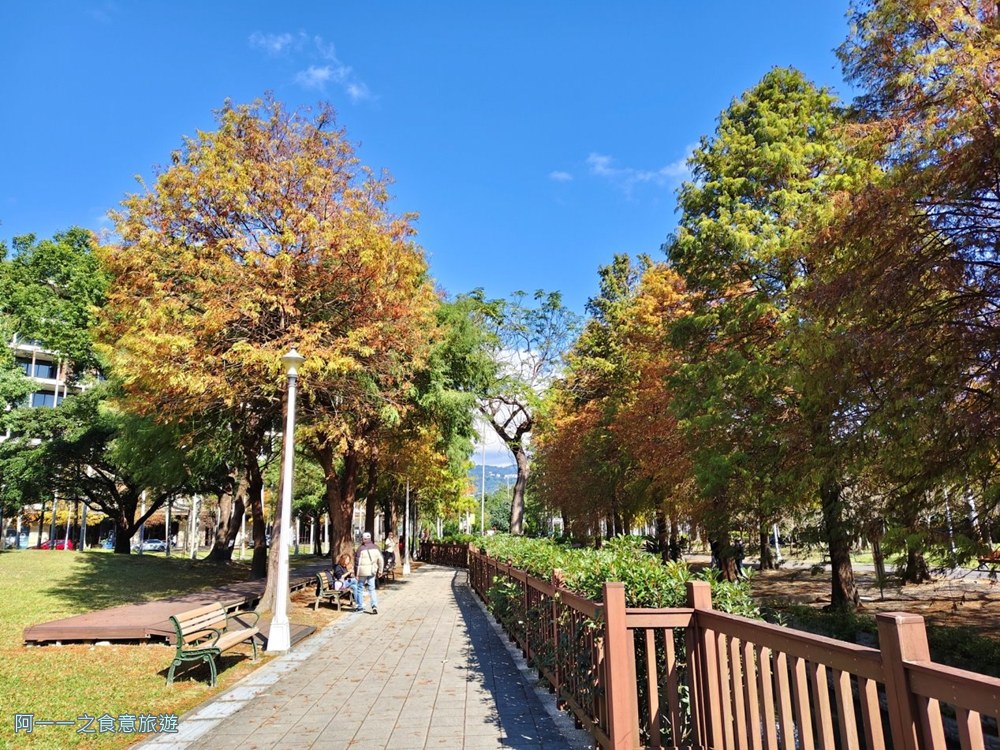 士林官邸落羽松.台北免門票景點