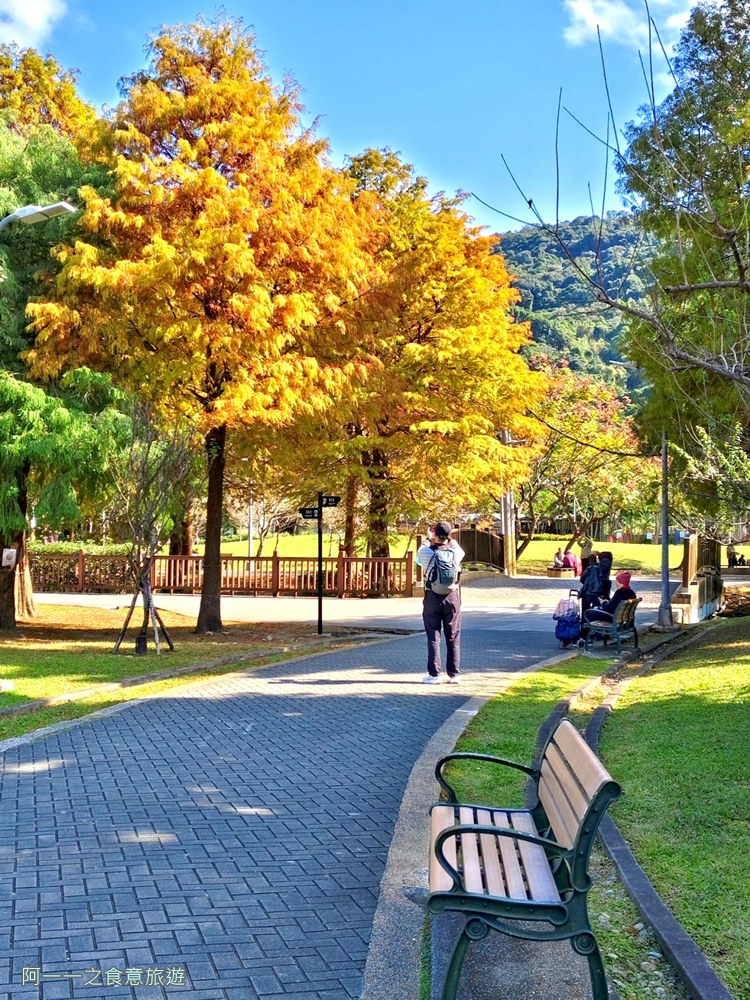 士林官邸落羽松.台北免門票景點