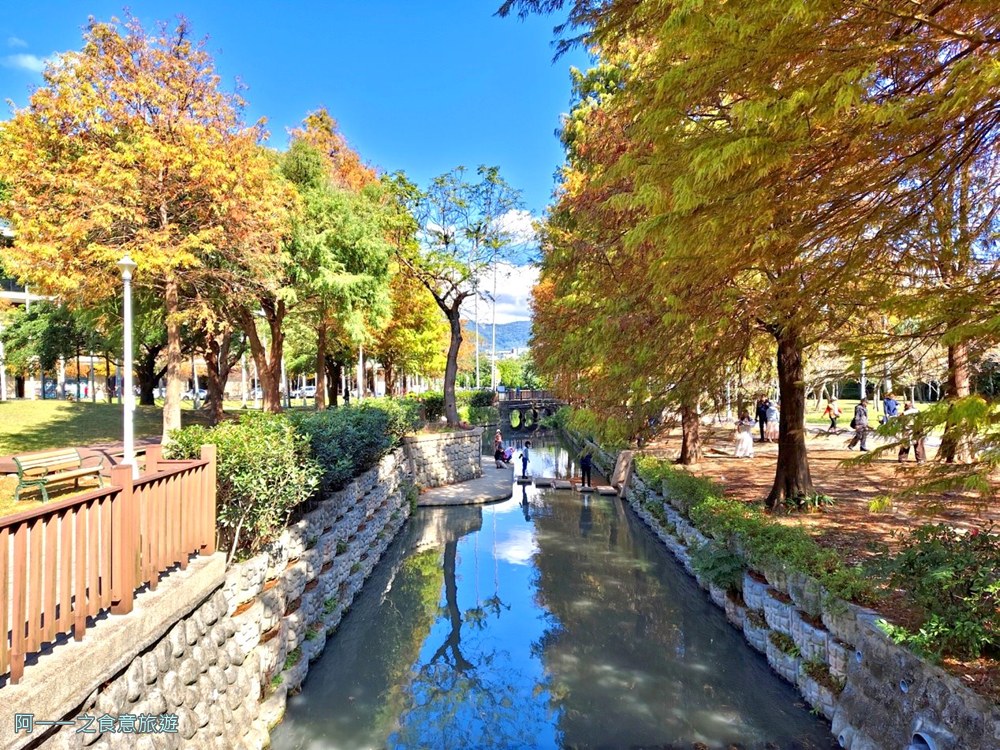 士林官邸落羽松.台北免門票景點