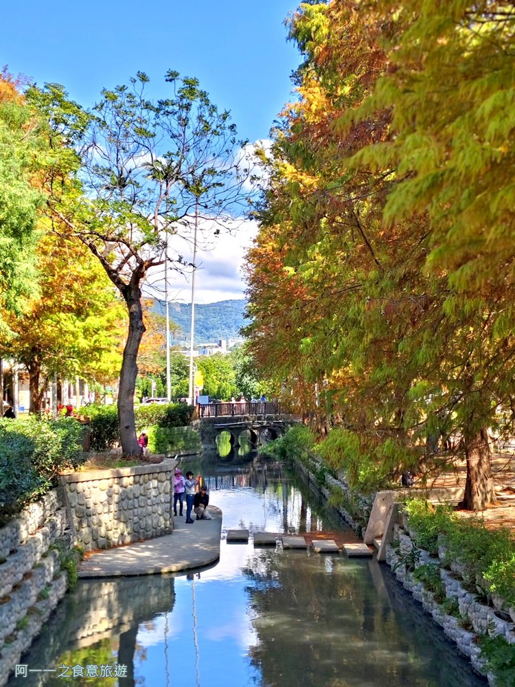 士林官邸落羽松.台北免門票景點