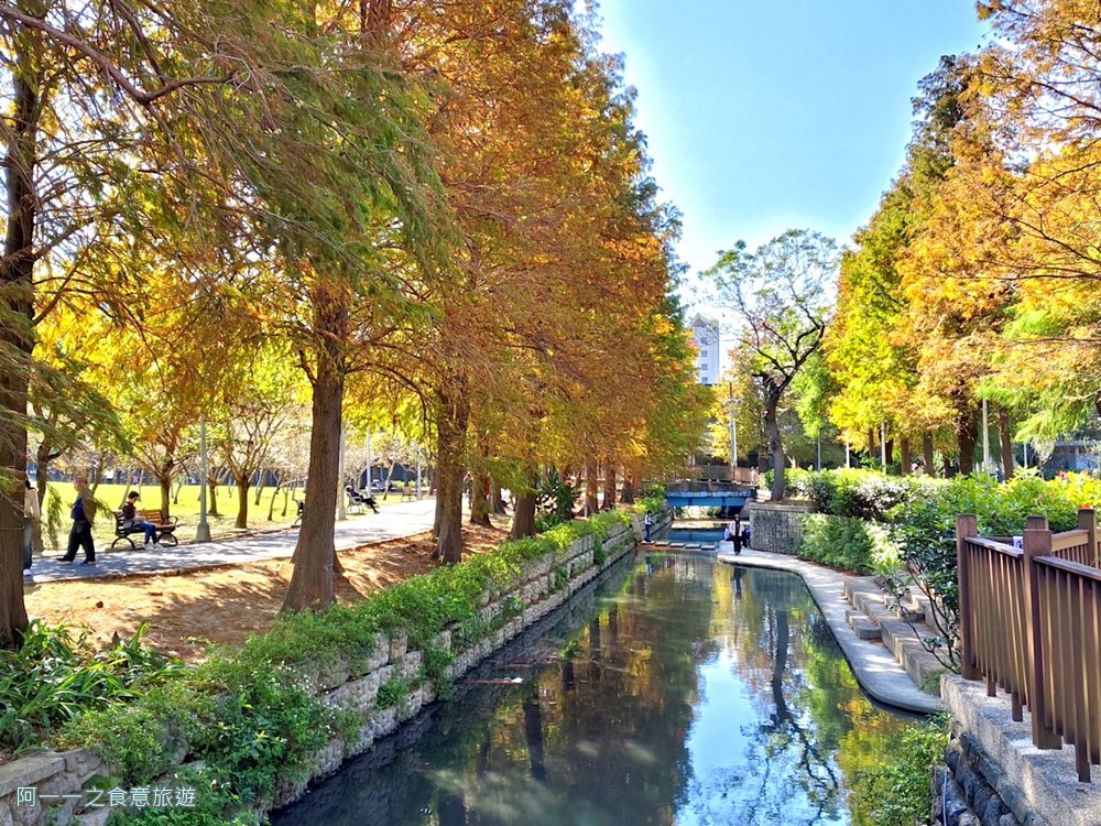 士林官邸落羽松.台北免門票景點