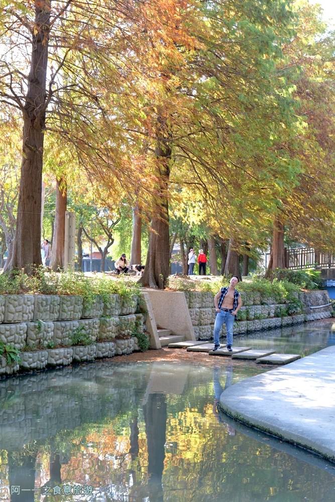 士林官邸落羽松.台北免門票景點