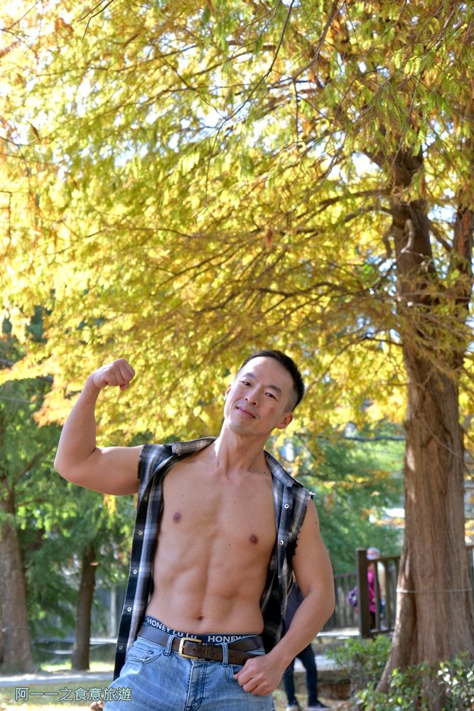 士林官邸落羽松.台北免門票景點