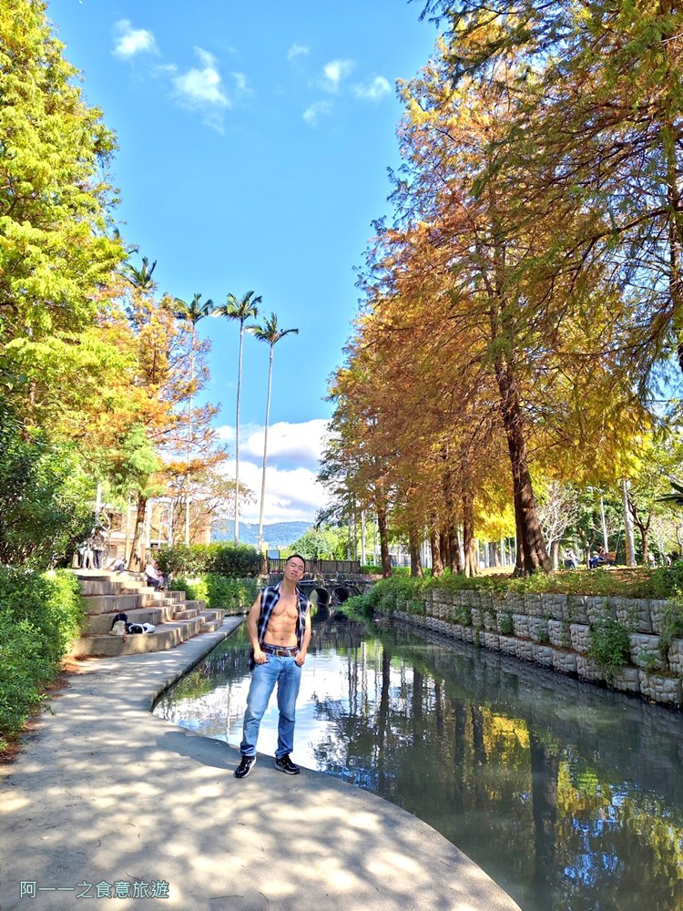 士林官邸落羽松.台北免門票景點