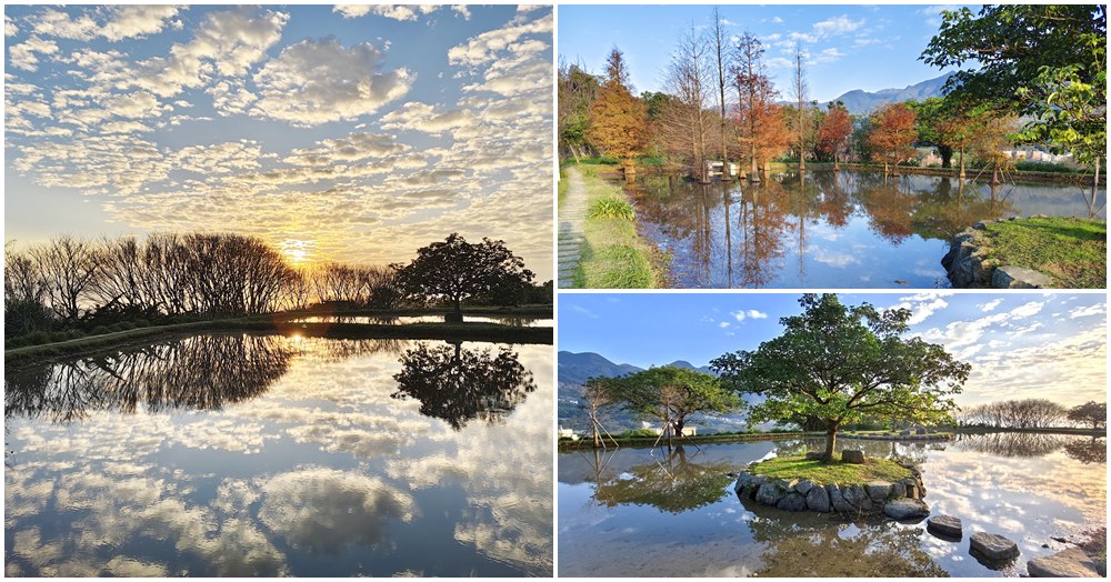 三芝田心子水中央│北海岸景點～落羽松秘境、免門票夢幻天空之鏡