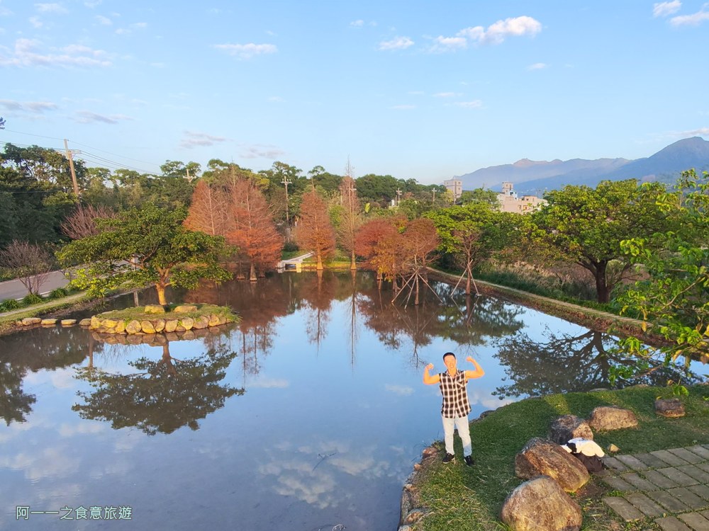 三芝田心子.台北落羽松秘境.北海岸景點.
