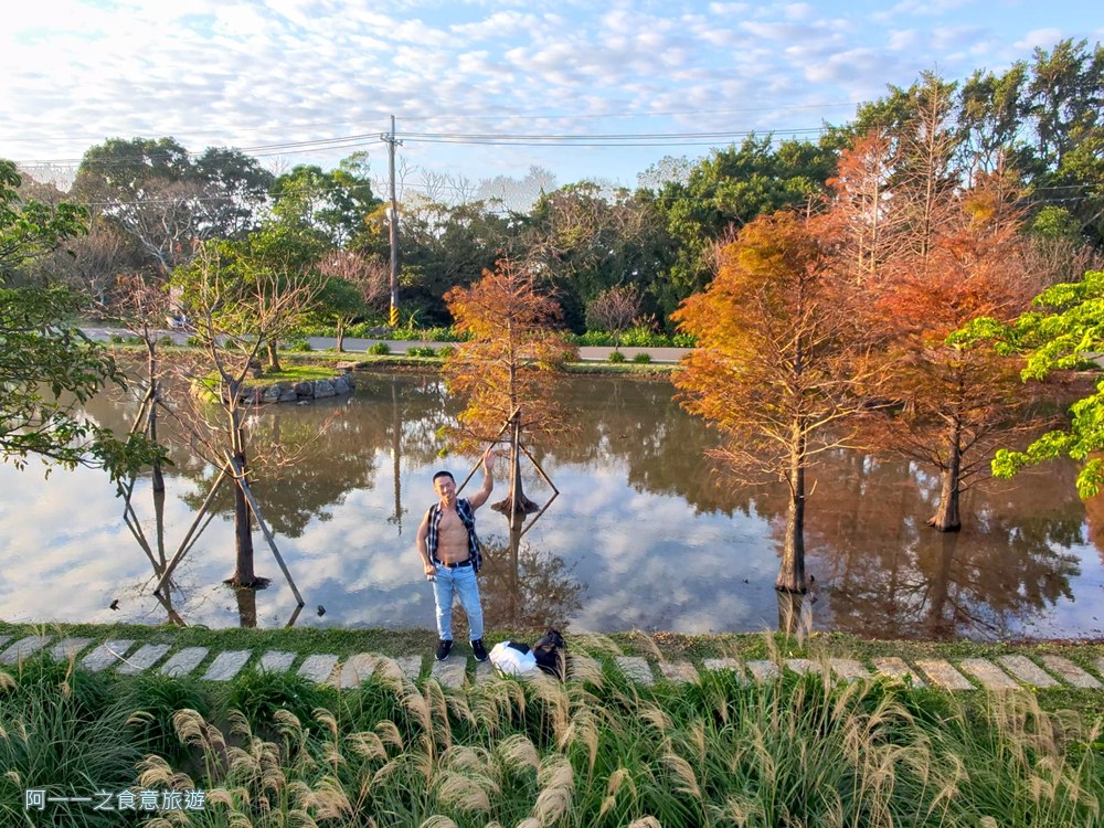 三芝田心子.台北落羽松秘境.北海岸景點.