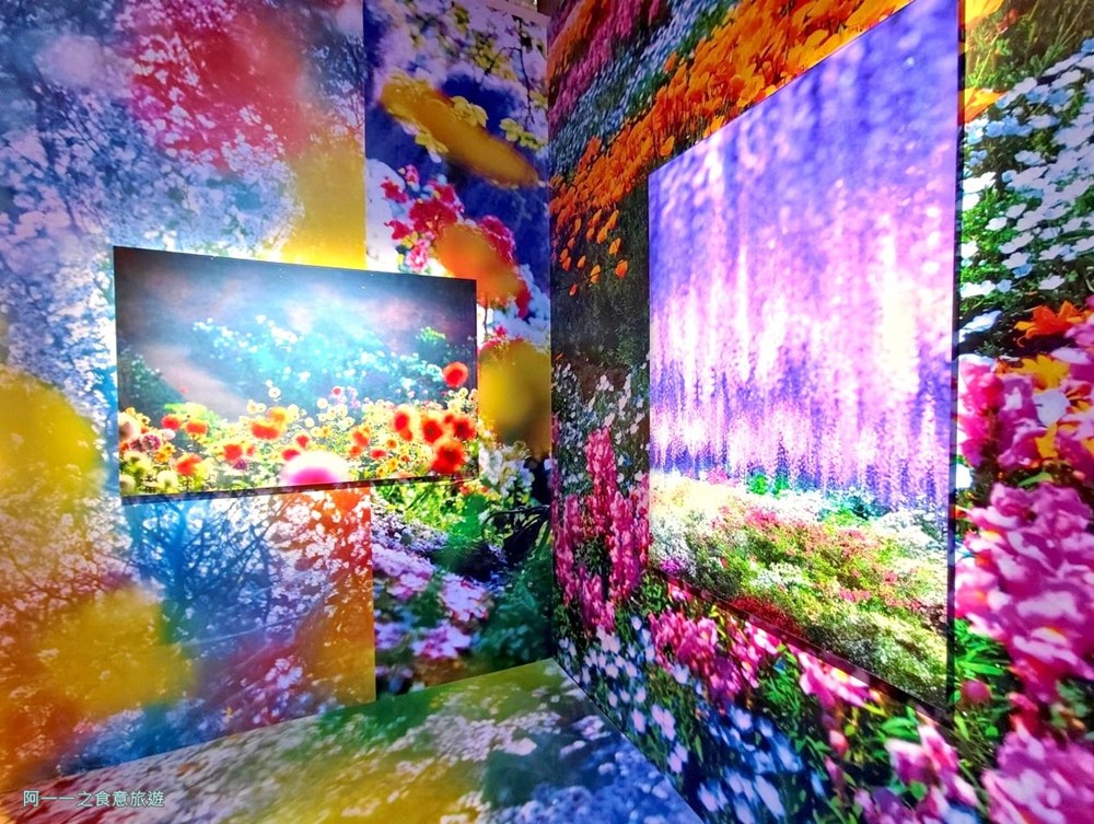 蜷川實花展.台北華山文創展覽.寒假