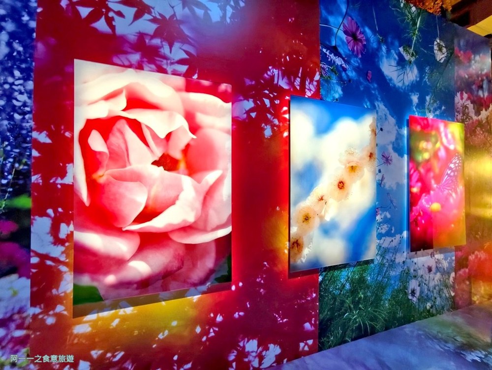 蜷川實花展.台北華山文創展覽.寒假