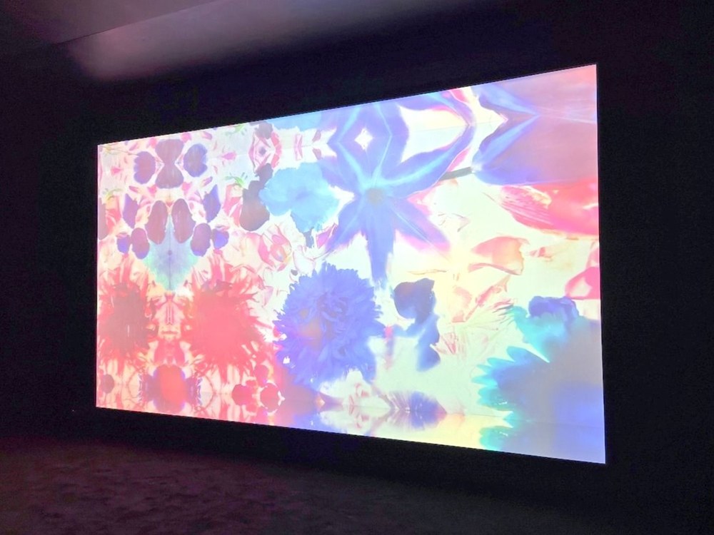 蜷川實花展.台北華山文創展覽.寒假