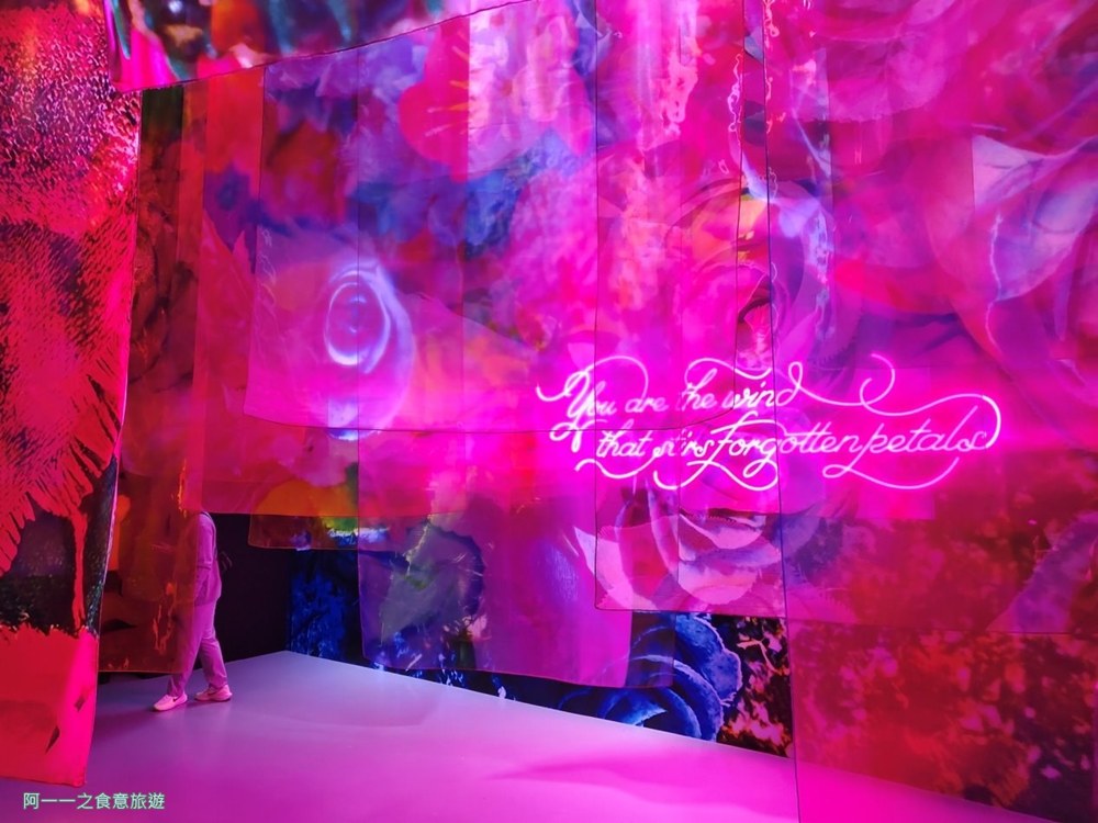 蜷川實花展.台北華山文創展覽.寒假