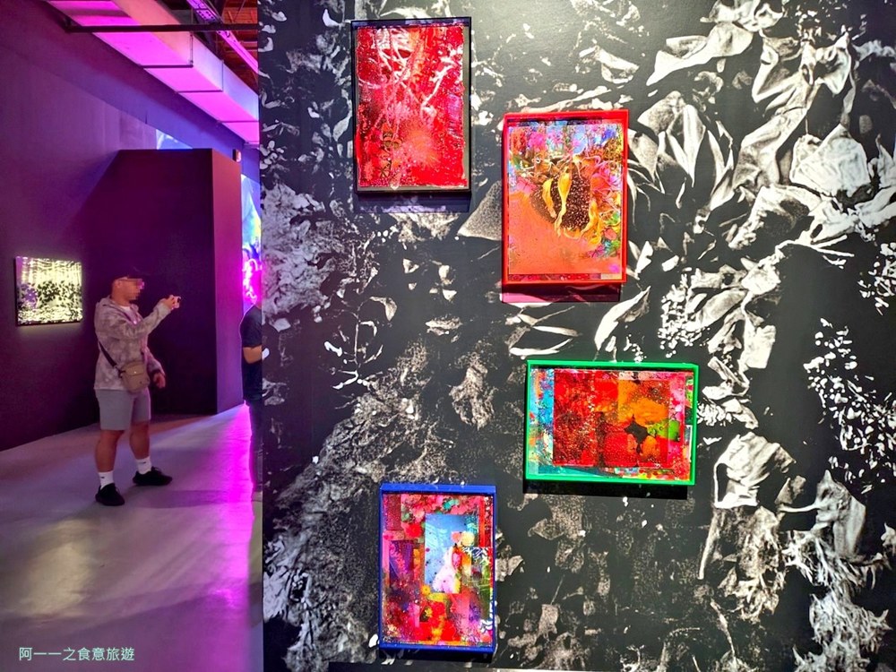 蜷川實花展.台北華山文創展覽.寒假