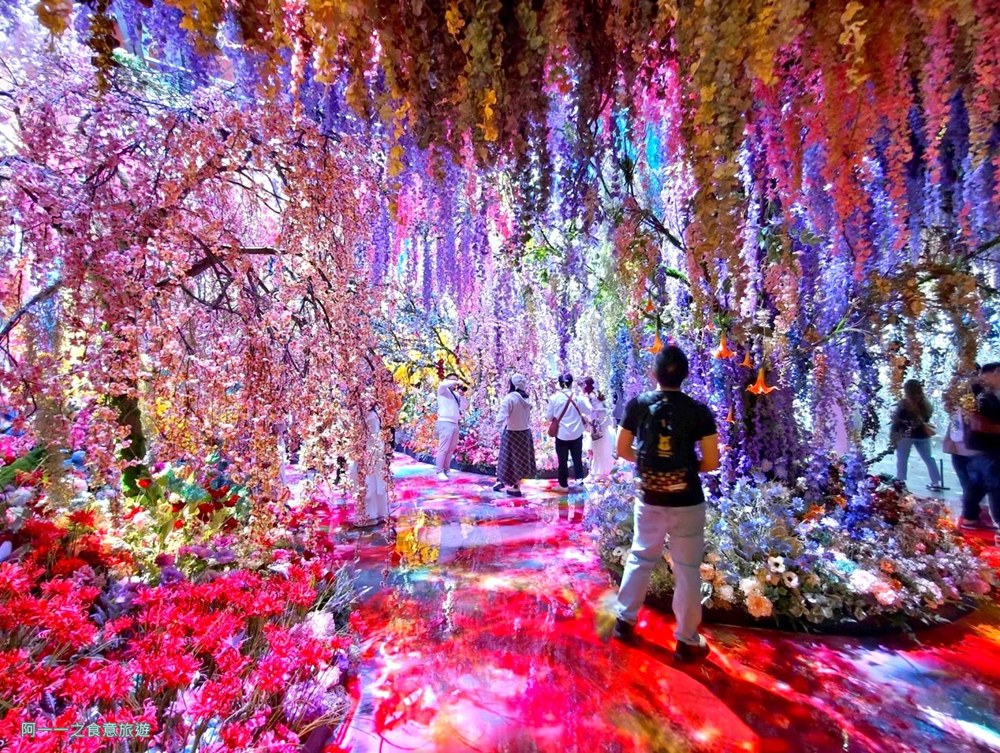 蜷川實花展.台北華山文創展覽.寒假