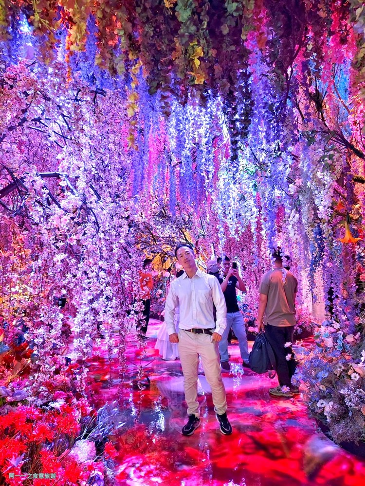 蜷川實花展.台北華山文創展覽.寒假