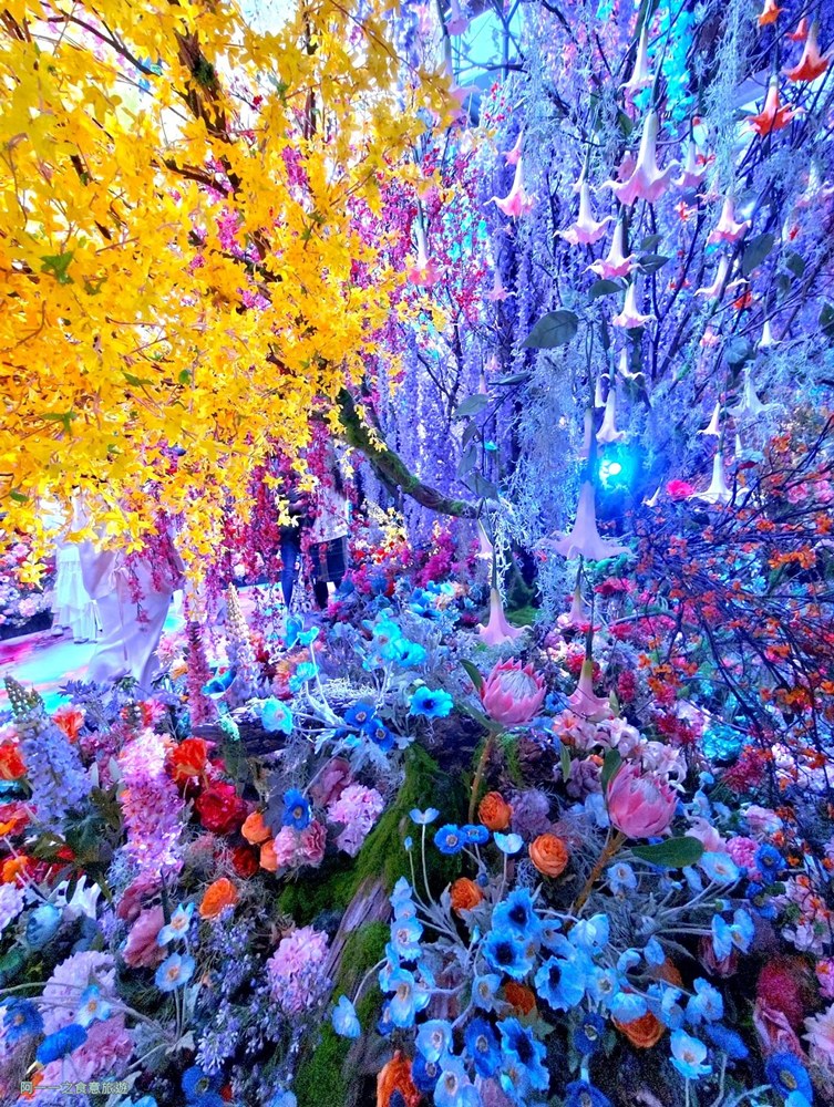 蜷川實花展.台北華山文創展覽.寒假