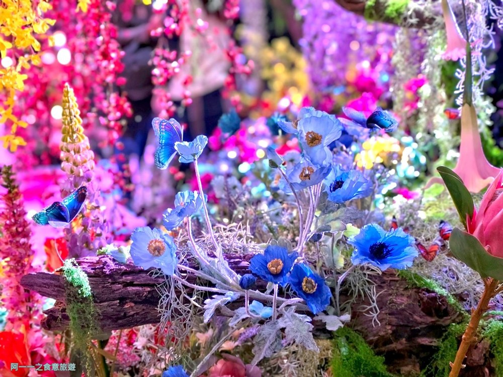 蜷川實花展.台北華山文創展覽.寒假