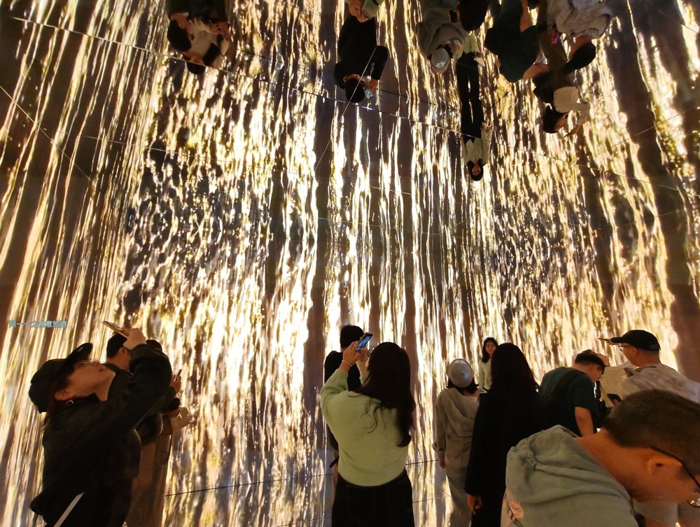 蜷川實花展.台北華山文創展覽.寒假