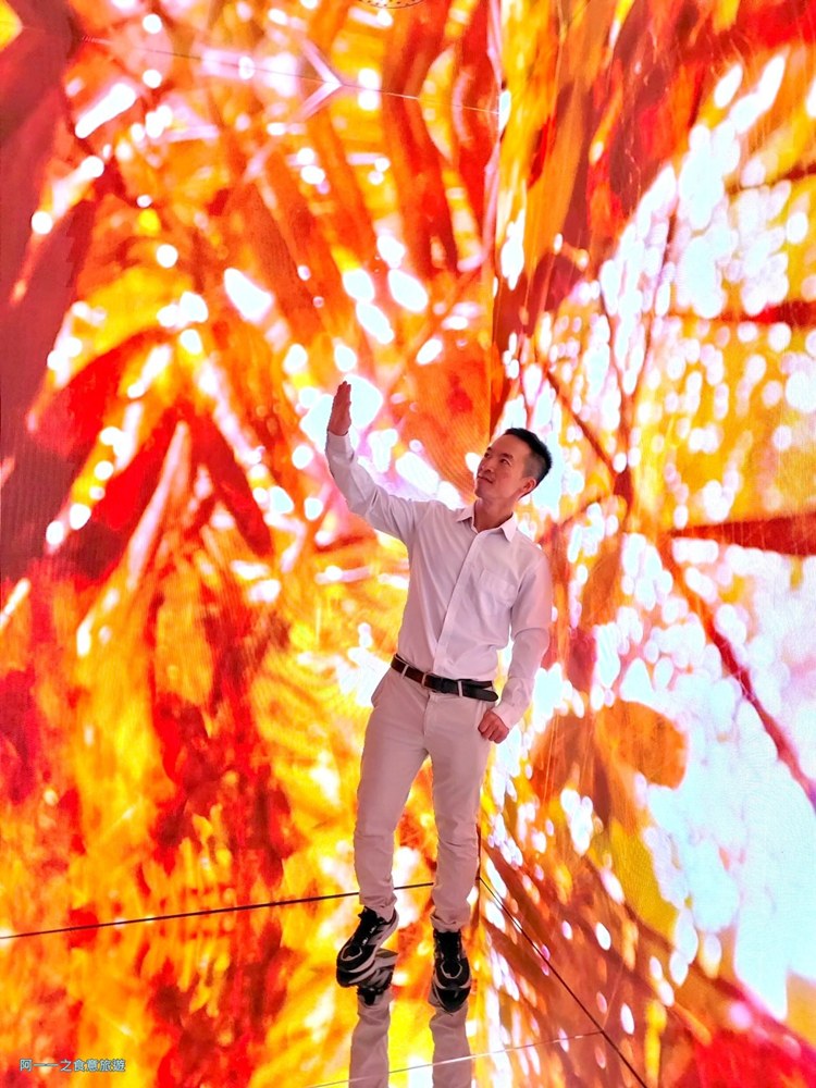 蜷川實花展.台北華山文創展覽.寒假