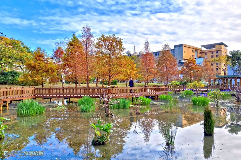 新莊頭前運動公園.台北落羽松秘境.環狀線幸福站景點