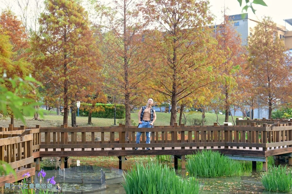 新莊頭前運動公園.台北落羽松秘境.環狀線幸福站景點