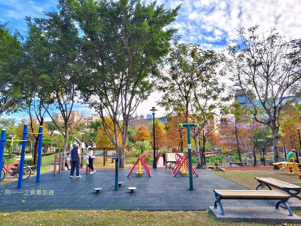 新莊頭前運動公園.台北落羽松秘境.環狀線幸福站景點