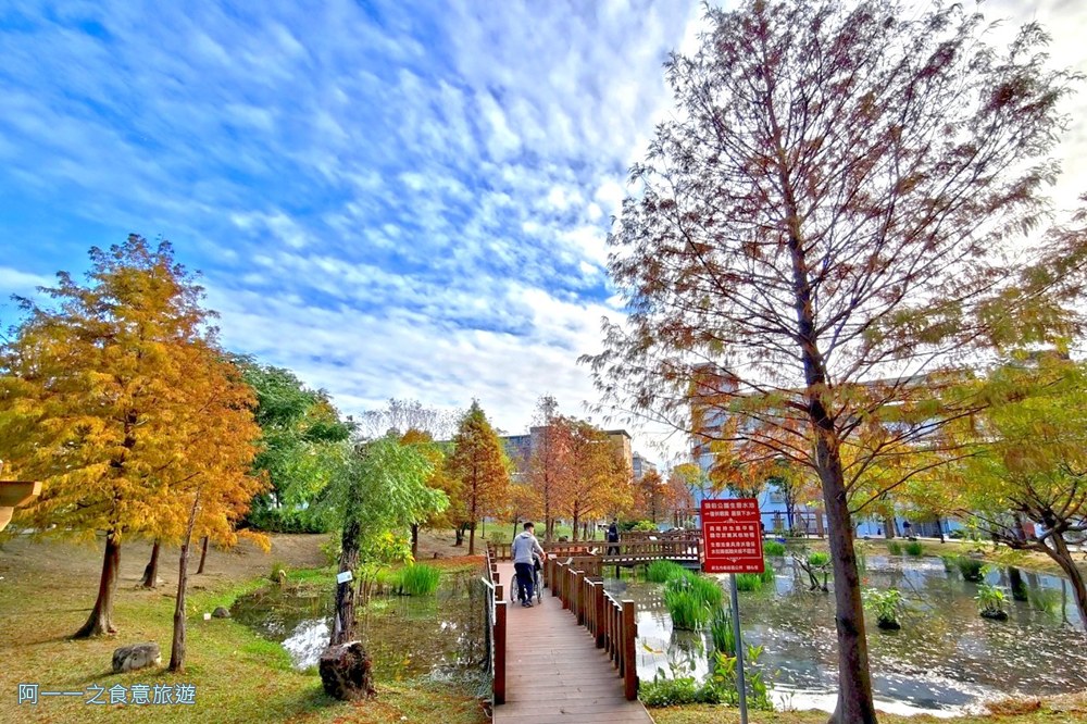 新莊頭前運動公園.台北落羽松秘境.環狀線幸福站景點