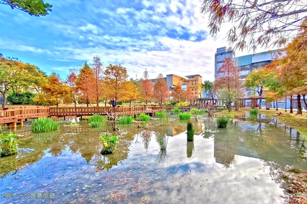新莊頭前運動公園.台北落羽松秘境.環狀線幸福站景點